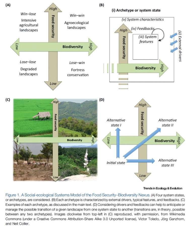 SES food and biodiversity